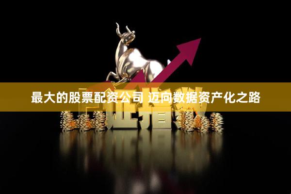 最大的股票配资公司 迈向数据资产化之路