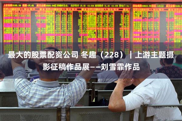 最大的股票配资公司 冬趣(228)|上游主题摄影征稿作品展——刘雪霏作品